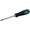 TOURNEVIS R1 X 100 H-DUTY