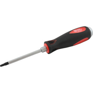 TOURNEVIS R2 X 100 H-DUTY