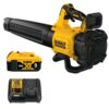 SOUFFLEUR 20V MAX XR 5AH ENS. (DEWALT)