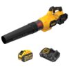 ENSEMBLE SOUFFLEUR AXIAL MANUEL 60V MAX (DEWALT)