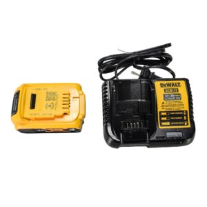 ENSEMBLE TAILLE BORDURE 20V MAX 13" (DEWALT)