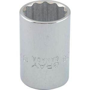 BOX 18MM X 1/2" DR 12 PT 38