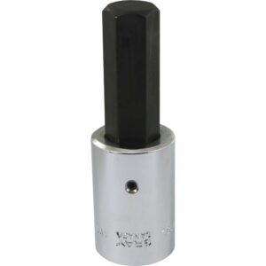 BOX ALLEN 19MM X 1/2" DR