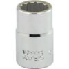 BOX 12MM X 3/8" DR 12 PT REG