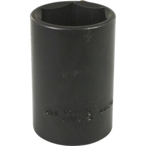 BOX 1-1/2" X 1/2" DR 6 PT DP