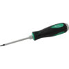 TOURNEVIS TORX T10