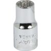 BOX 1/4" X 1/4 DR 12 PT REG