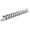 BOX 3/8" DRTORX EXTERNE (12 PCS)