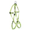 HARNAIS COMPLET CONFORME (FBH-10022-A)