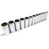 BOX 1/2" DR PROFOND 12 PANS SAE (13 pcs)
