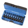 BOX À CHOC 1/2" DR TORX 3" (10 pcs)