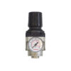 RÉGULATEUR 1/4" 300 (5-125) AIRFLO (TOPRING)