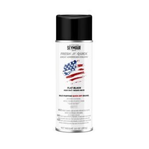 PEINTURE AÉROSOL NOIR MAT (SEYMOUR)