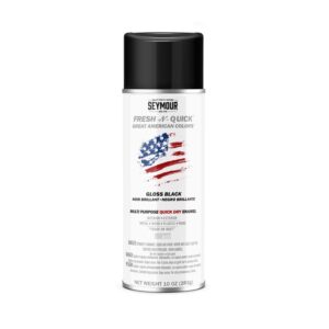 PEINTURE AÉROSOL NOIR LUSTRÉ (SEYMOUR)