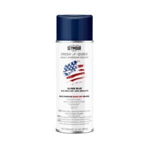 PEINTURE AÉROSOL BLEU (SEYMOUR)